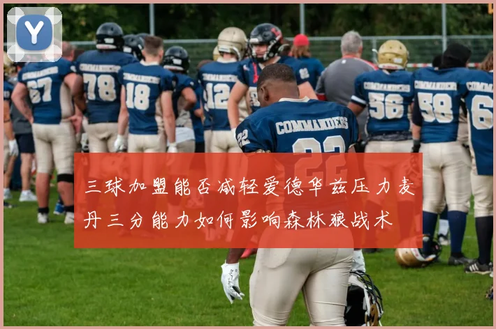 三球加盟能否减轻爱德华兹压力麦丹三分能力如何影响森林狼战术